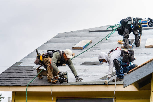 Professional Roofing technician working in Scottsville, NY